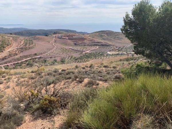 Terreno en Paraje La Caseria s/n