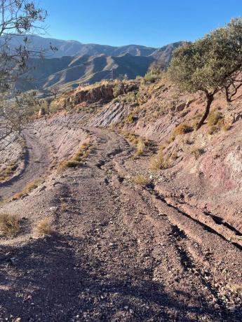 Terreno en Paraje cerro de la matanza s/n