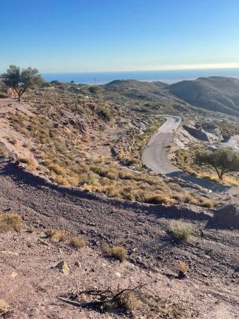 Terreno en Paraje cerro de la matanza s/n