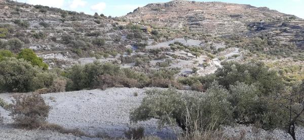 Terreno en calle pista forestal felix, km 2