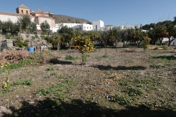 Terreno en calle Medico, 4