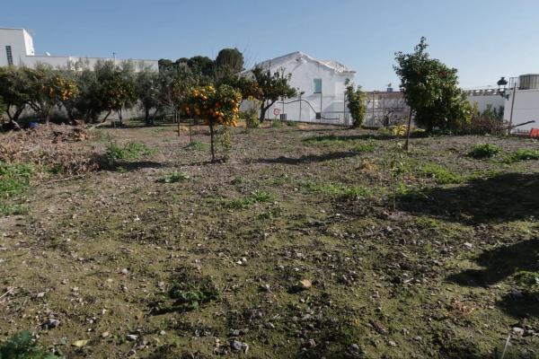 Terreno en calle Medico, 4