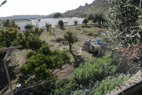 Terreno en calle Medico, 4