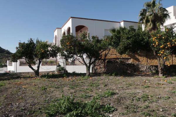 Terreno en calle Medico, 4