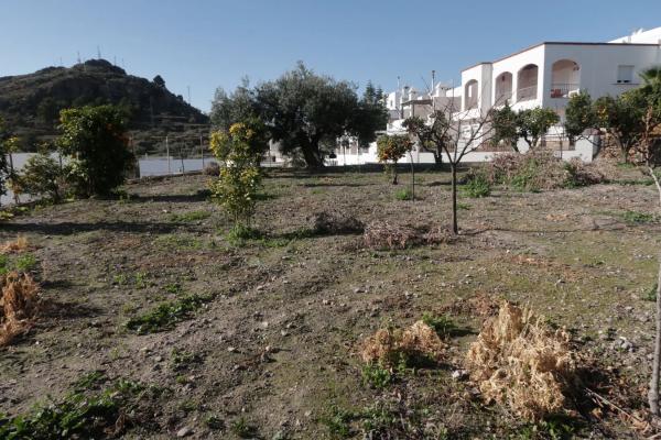 Terreno en calle Medico, 4