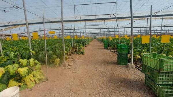 Terreno en La Mojonera