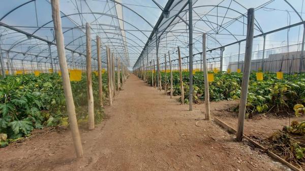 Terreno en La Mojonera