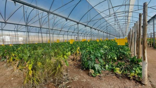 Terreno en La Mojonera