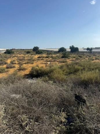 Terreno en Barrio Carretera Mojonera - Cortijos de Marín