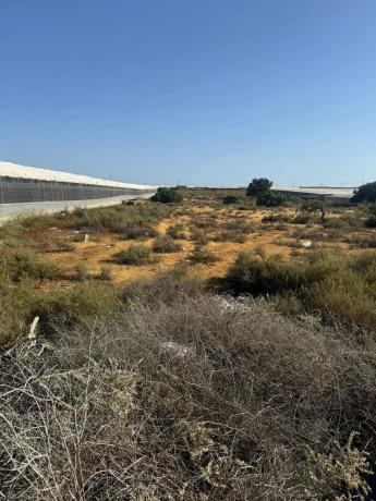 Terreno en Barrio Carretera Mojonera - Cortijos de Marín