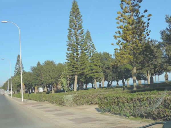 Terreno en Barrio El Puerto - La Romanilla