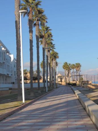 Terreno en Barrio El Puerto - La Romanilla