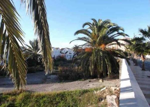 Terreno en avenida Sabinar