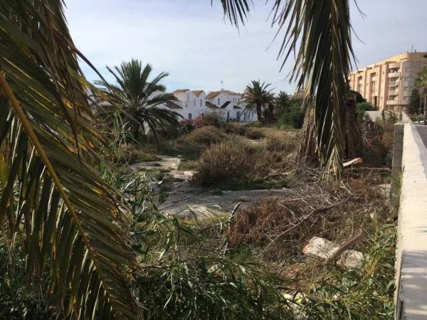 Terreno en avenida Sabinar