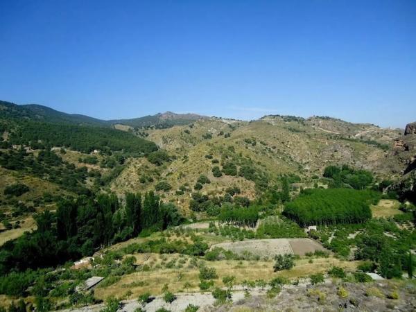 Terreno en calle Manuel Machado, 4
