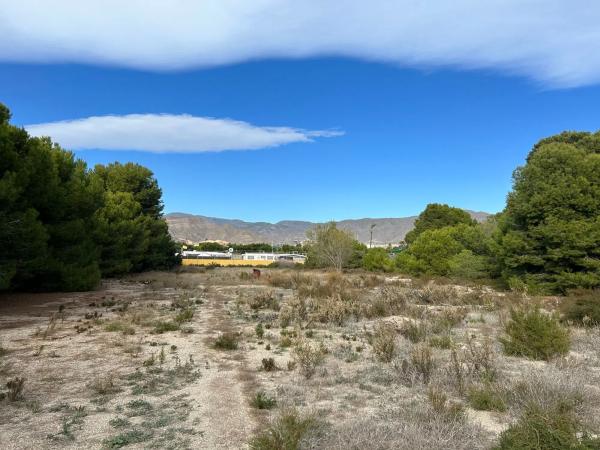 Terreno en camino de los Millares s/n Sinnumero