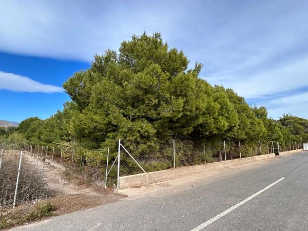 Terreno en camino de los Millares s/n Sinnumero