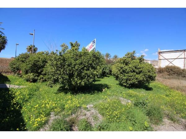 Terreno en carretera de Alicun