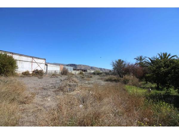 Terreno en carretera de Alicun