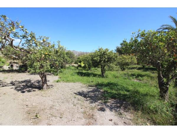 Terreno en carretera de Alicun