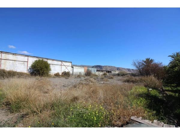 Terreno en carretera de Alicun