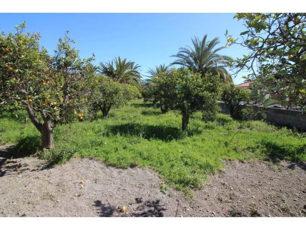 Terreno en carretera de Alicun