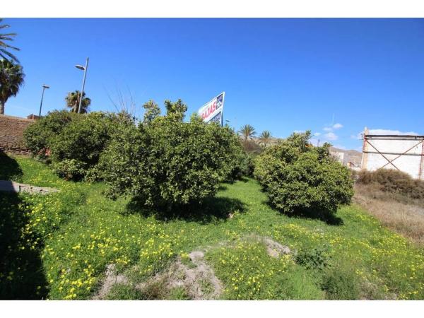 Terreno en carretera de Alicun