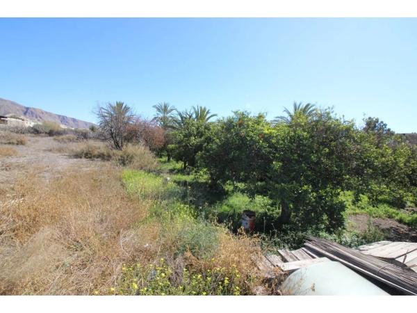 Terreno en carretera de Alicun