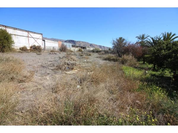 Terreno en carretera de Alicun