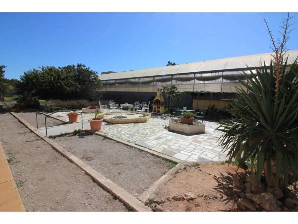 Terreno en carretera de Alicun