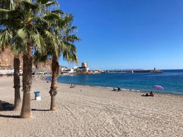 Terreno en calle Magnolia, 17