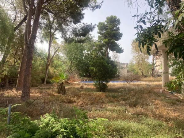 Terreno en calle Nogal