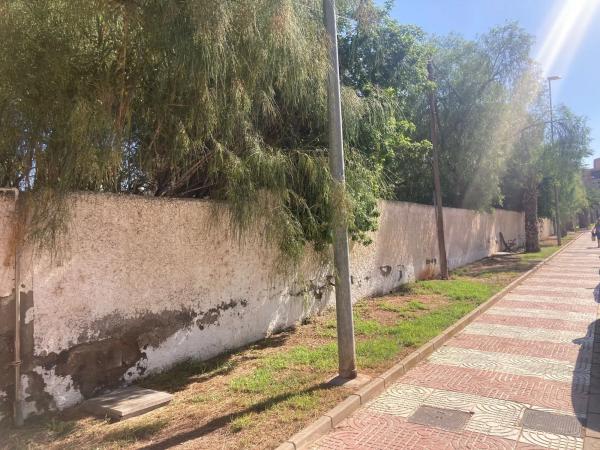 Terreno en calle Nogal