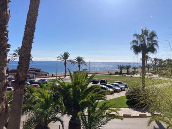 Terreno en calle Nogal