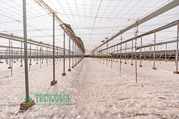 Terreno en Puebla de Vícar