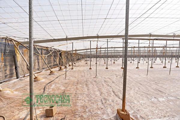 Terreno en Puebla de Vícar