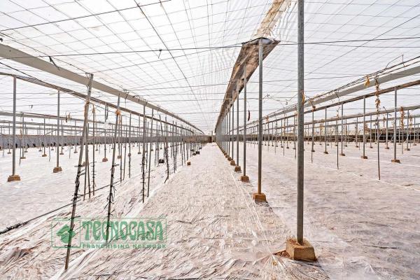 Terreno en Puebla de Vícar