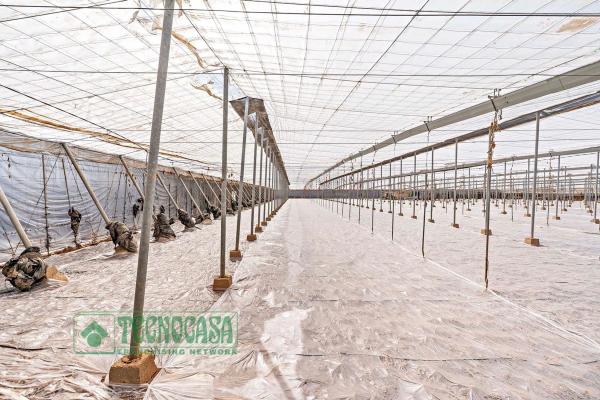 Terreno en Puebla de Vícar