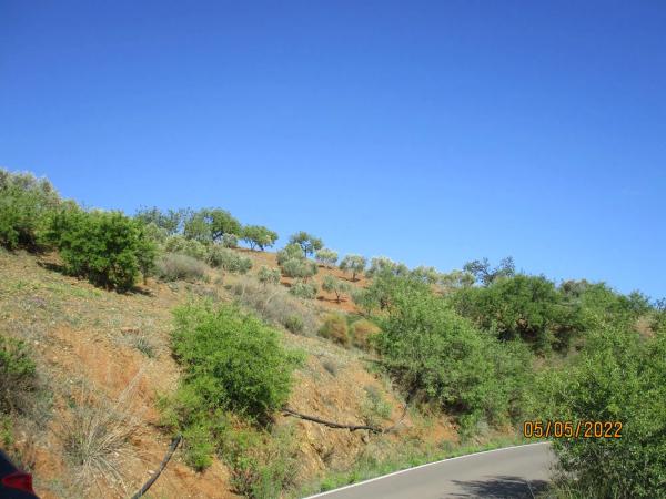 Terreno en calle de las Higueras, 13
