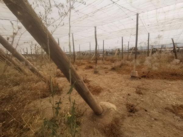 Terreno en carretera las Losas s/n