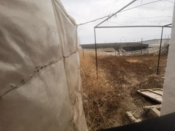 Terreno en carretera las Losas s/n