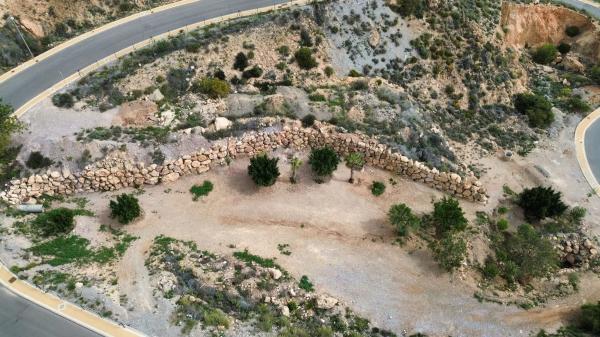 Terreno en calle los Naranjos, 36