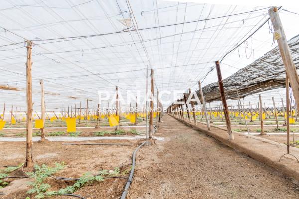 Terreno en Puebla de Vícar