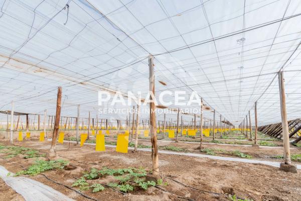 Terreno en Puebla de Vícar