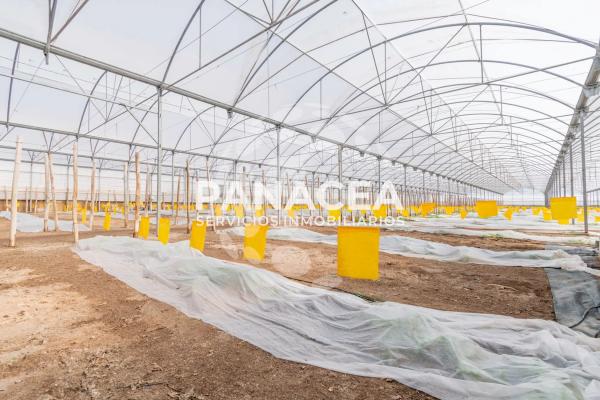 Terreno en Puebla de Vícar