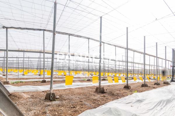 Terreno en Puebla de Vícar