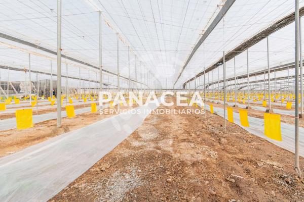 Terreno en Puebla de Vícar