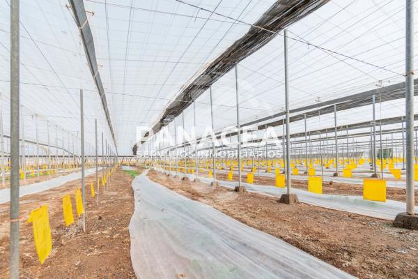 Terreno en Puebla de Vícar