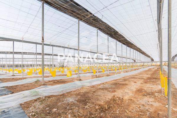 Terreno en Puebla de Vícar