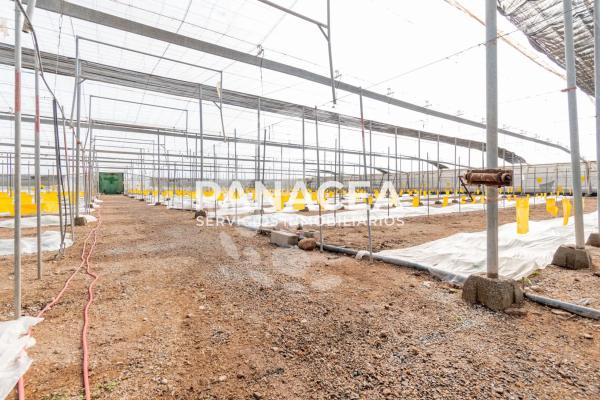 Terreno en Puebla de Vícar